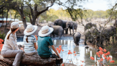 Où voyager avec des enfants cet automne pour mêler détente en famille, découvertes ludiques et souvenirs inoubliables