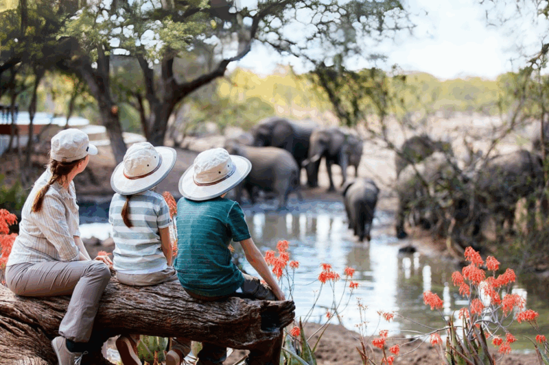 Où voyager avec des enfants cet automne pour mêler détente en famille, découvertes ludiques et souvenirs inoubliables