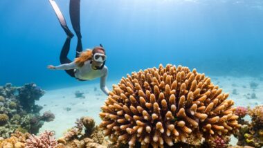 Sous les étoiles de la mer Rouge la nouvelle destination qui fascine les voyageurs