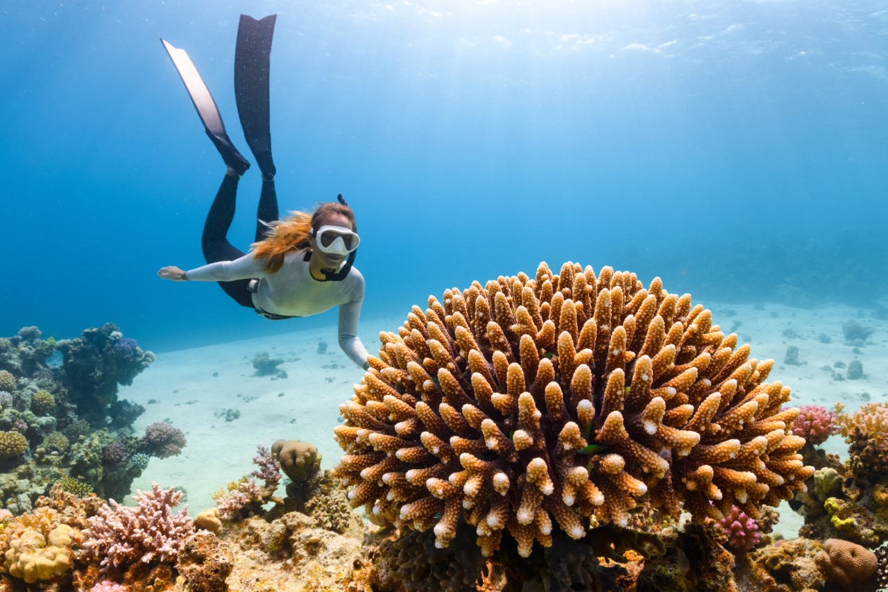 Sous les étoiles de la mer Rouge la nouvelle destination qui fascine les voyageurs