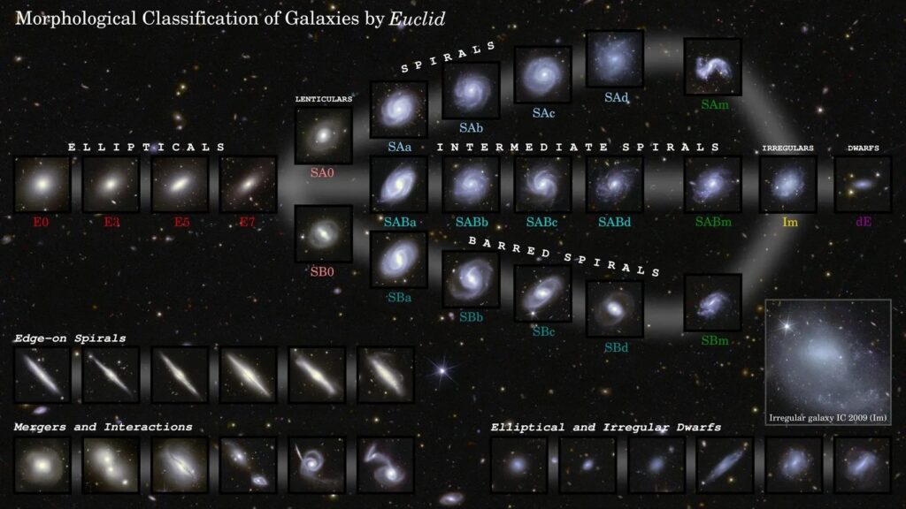 Classification morphologique des galaxies par Euclide