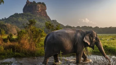 Un joyau asiatique entre mer et montagnes s'impose comme destination phare pour 2026