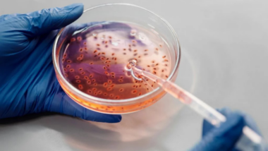 Les biofilms, clé de la vie sur Terre, pourraient aussi nous aider à explorer l'espace