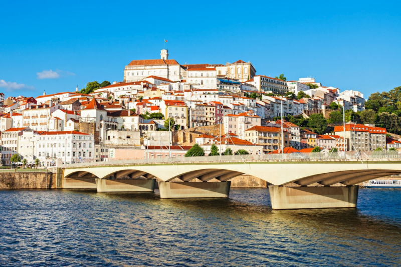 Une ville m&eacute;di&eacute;vale du Portugal abrite une biblioth&egrave;que prot&eacute;g&eacute;e par des chauves-souris