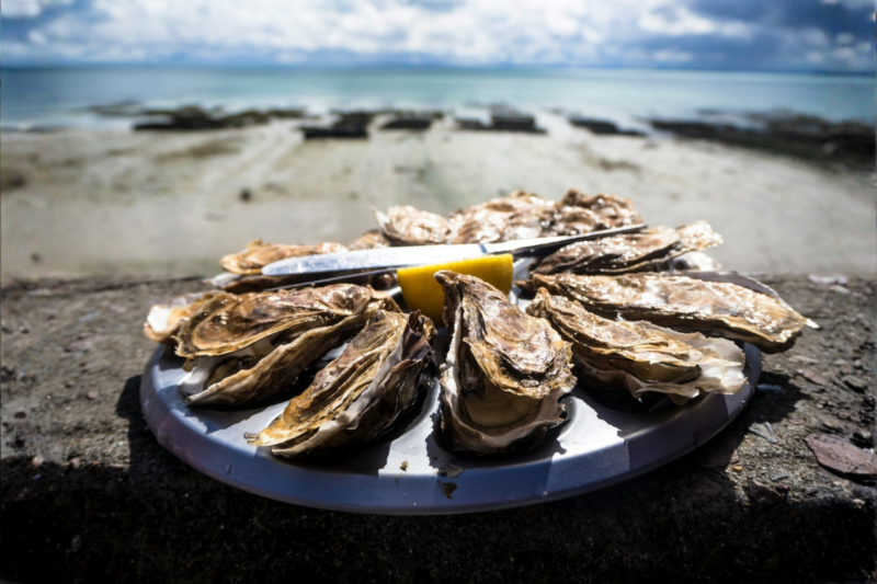 Ce village breton cache un secret gourmand incroyable des hu&icirc;tres &agrave; prix d&eacute;fiant toute concurrence