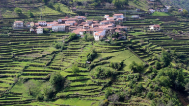 Un village portugais enchante par ses terrasses verdoyantes et son surnom de petit Tibet