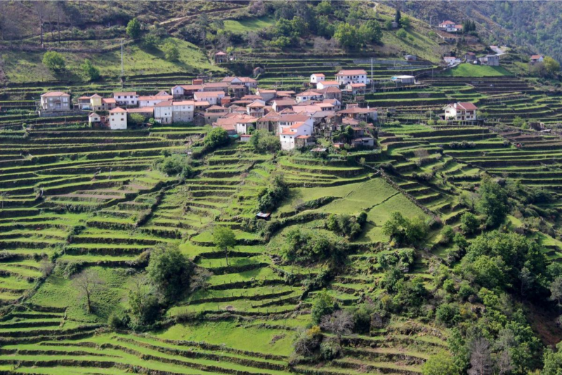 Un village portugais enchante par ses terrasses verdoyantes et son surnom de petit Tibet