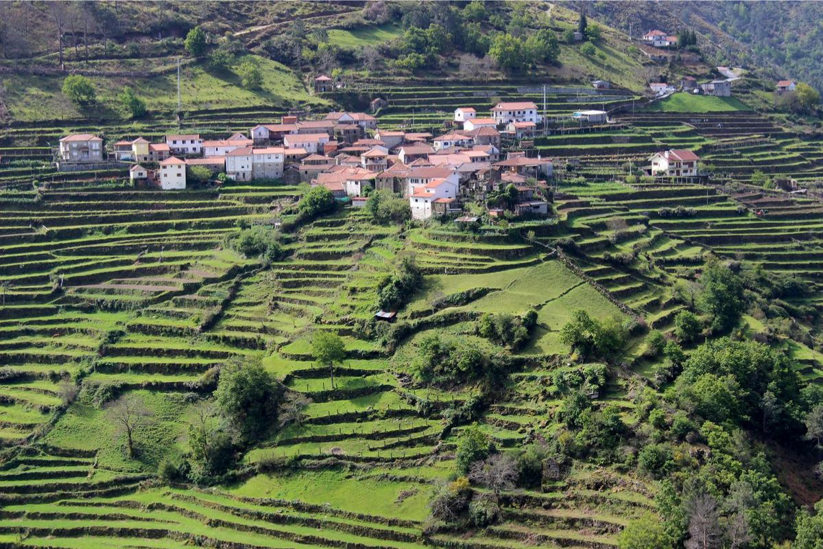 Un village portugais enchante par ses terrasses verdoyantes et son surnom de petit Tibet