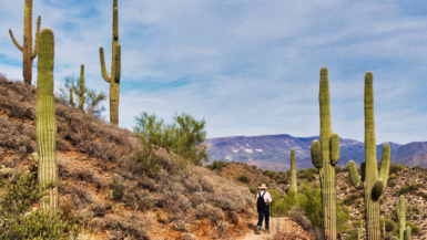Six randonnées en Arizona révèlent des paysages désertiques à couper le souffle entre roches et cactus géants