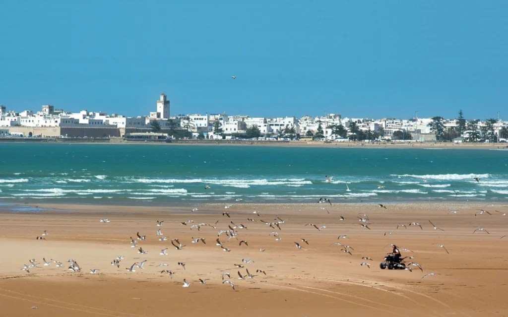 Une plage marocaine dévoile un tapis de céramiques digne d'un film à ciel ouvert