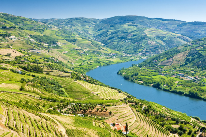 Les collines secrètes du Portugal enchantent les gourmets en quête d'authenticité vinicole